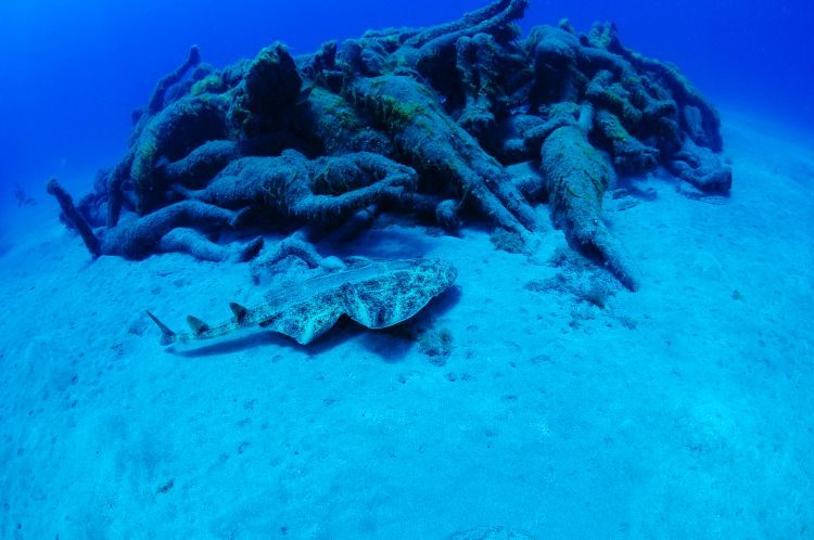 Duiken Bij Museo Atlantico Playa Blanca Lanzarote